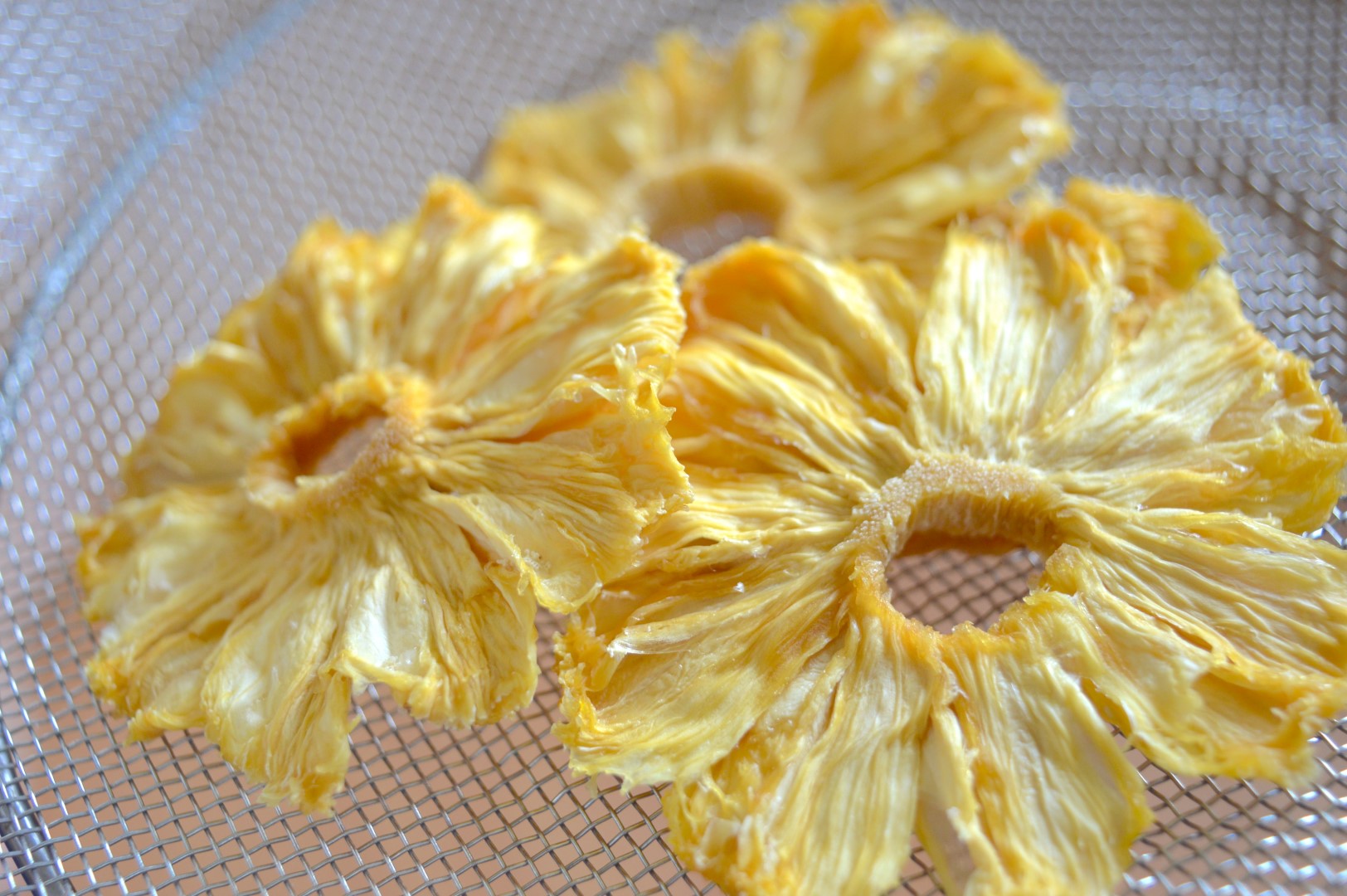 Natural Dried Pineapple (4) (Large)