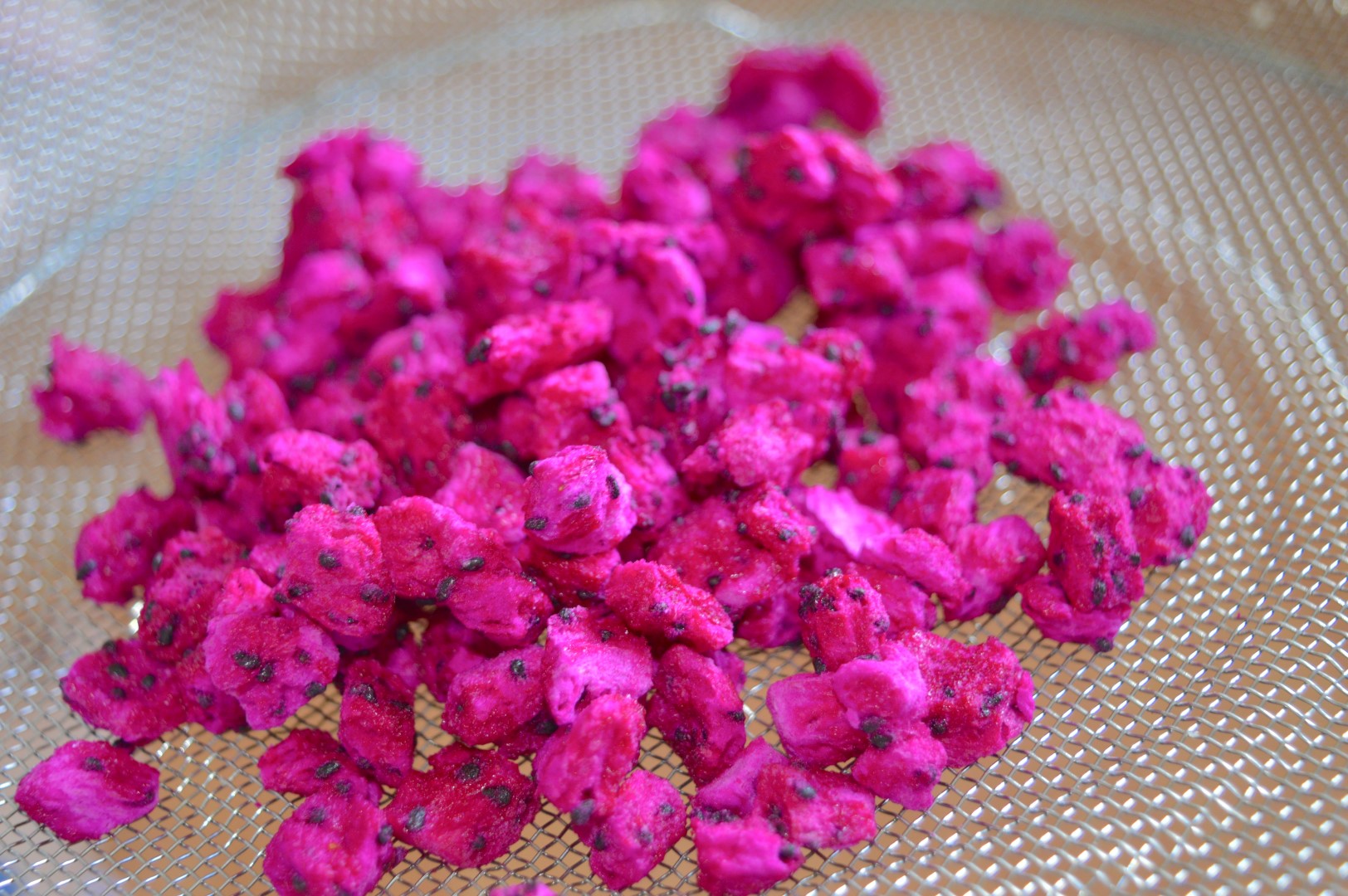 Natural Freeze Dried Red Dragon (1) (Large)