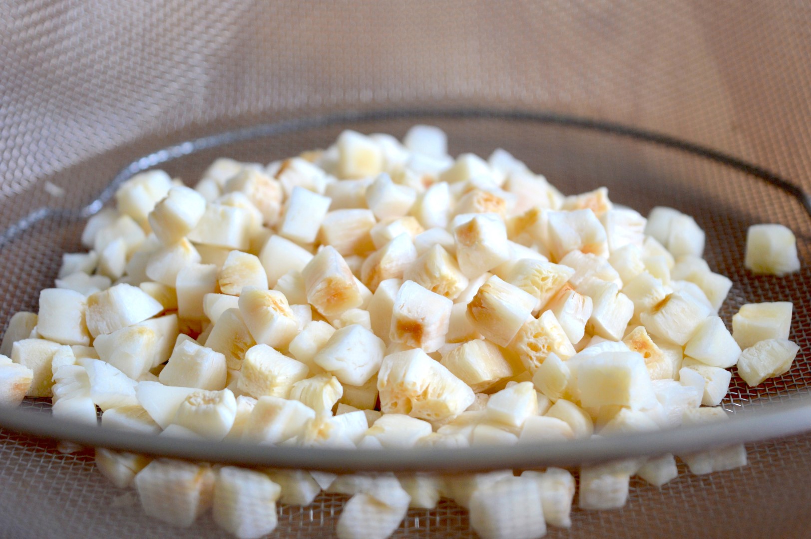 Natural Toasted Coconut Chunk (2) (Large)