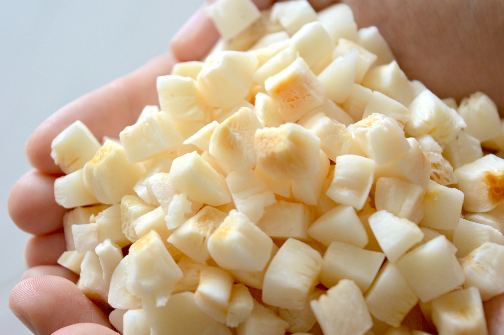 Natural Toasted Coconut Chunk (4) (Large)