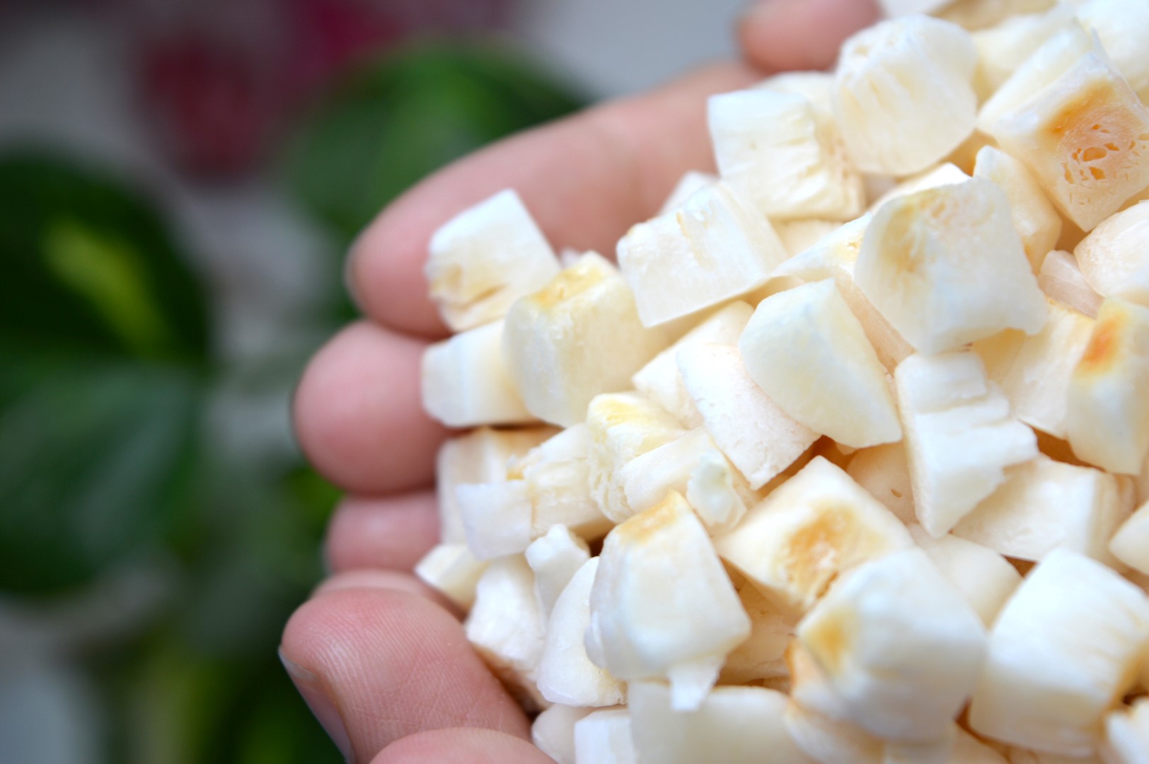 Natural Toasted Coconut Chunk (5) (Large)
