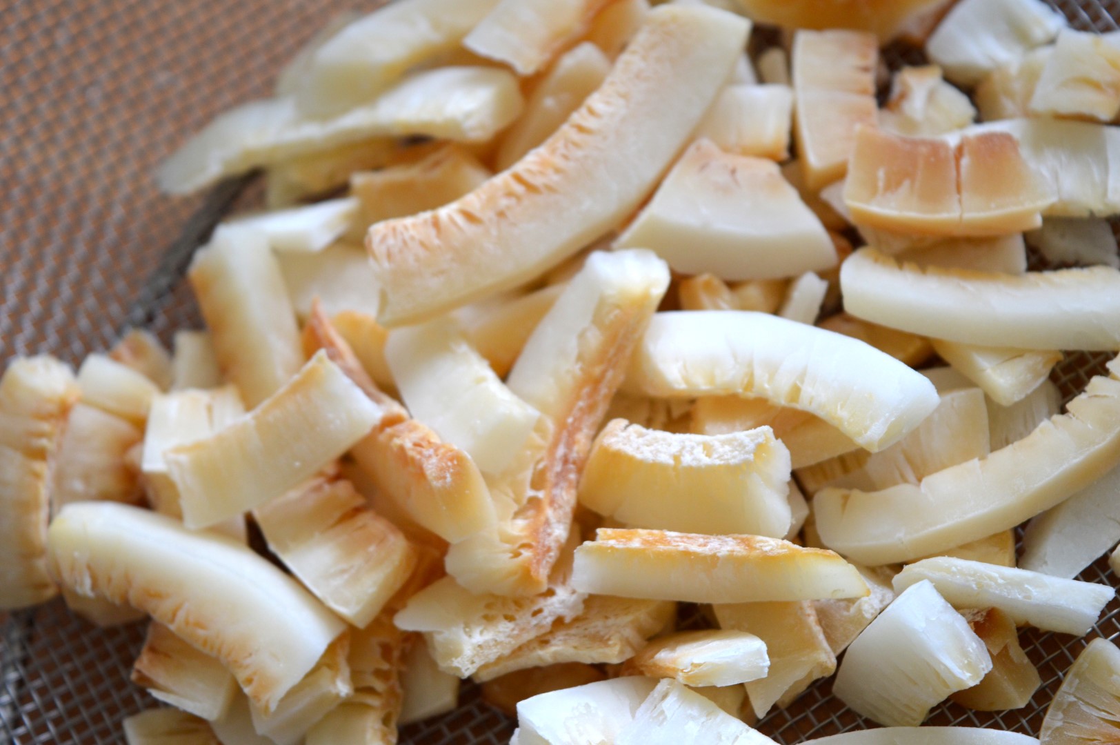 Natural Toasted Coconut Slice (3) (Large)